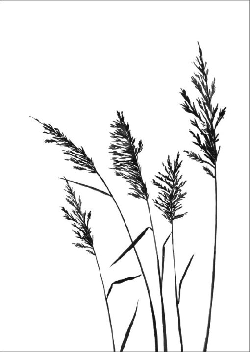 Kortti - Image 3